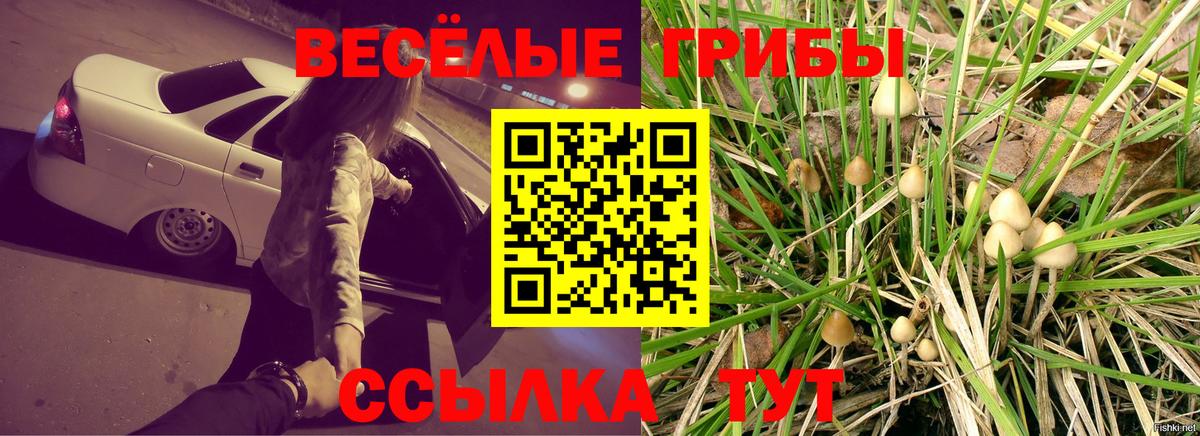 Псилоцибиновые грибы Magic Shrooms  Вход с VPN  Донецк 